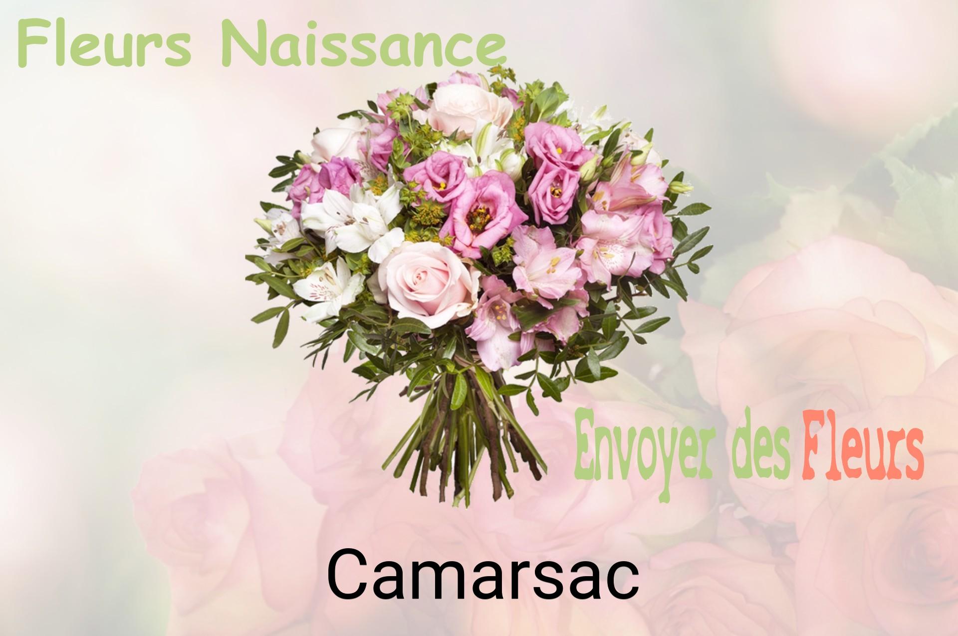 Bouquet de fleurs de naissance livré à Camarsac